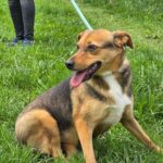 500523419 1101521862005627 6597780980495398935 n