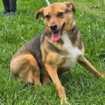 503996367 1101521832005630 2098430371283844973 n