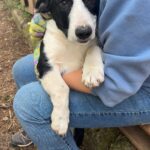 504005971 1110068171150996 7295152180337109167 n