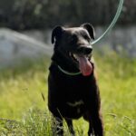 504282069 1103032718521208 9041901435729458700 n