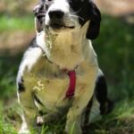 504822598 1110068227817657 2518475512020331286 n