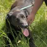 505387157 1103032755187871 324455954753281915 n