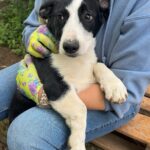 505404757 1110068134484333 3474770847075261979 n