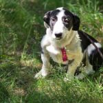 506467804 1110068221150991 1100866060048121938 n