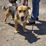 513751772 1121063453384801 7410688959644004595 n