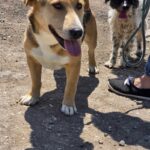 513825685 1121063183384828 3847053762625255787 n