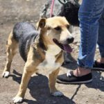 513853362 1121063486718131 4938583204980086154 n