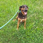 514194014 1121153140042499 4734593046526052442 n