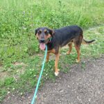 514198221 1121153156709164 8297083275606330420 n