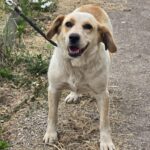 514202361 1120365336787946 892304044988807043 n