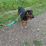 514230334 1121153250042488 7785734924399090292 n