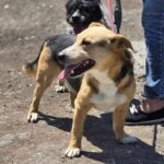 514262873 1121063236718156 166768415736935777 n