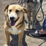 514264332 1121063433384803 260419329165561257 n