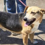 514417870 1121063536718126 1013927243369484763 n