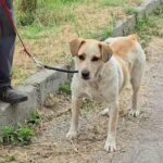 514669749 1120364946787985 8188964722272735931 n