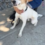 515438055 1152252933599186 5431124453593346808 n