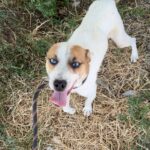 515439886 1152252840265862 78312802403092120 n