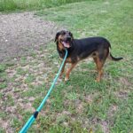 515497065 1121153200042493 4507433648047261847 n