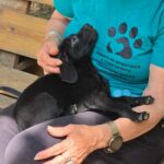 515499008 1148040074020472 1788637374905780894 n