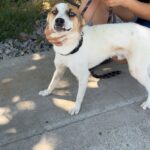 515502824 1152252353599244 1321815467760039661 n