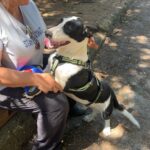 515503513 1152426490248497 5486580076403925377 n