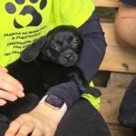 515503541 1148040064020473 2679985427248596361 n