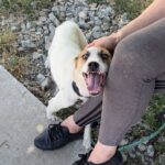 515504606 1152252916932521 5905318812179218877 n