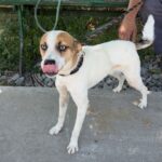 516388893 1152252850265861 1004334080251807603 n