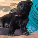 516425893 1148039970687149 181296839904335442 n