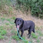 516443108 1126056342885512 6620339723615949639 n