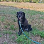 516515320 1126056166218863 48734656366928425 n