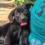 516519418 1148039997353813 504022474591816321 n