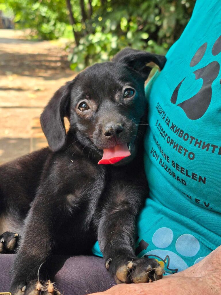 516519418 1148039997353813 504022474591816321 n