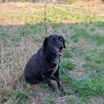 516598299 1126056289552184 8534078900930441147 n