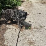 518254191 1150426327115180 698578777969271853 n