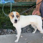 518366008 1152251400266006 3530895658457752373 n