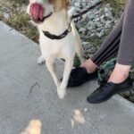 519407145 1152252896932523 7667655164774744038 n