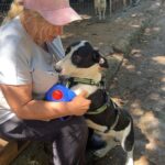 520277995 1152426480248498 547675807732039099 n