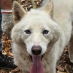 520299913 1206294261528386 1793350246002489152 n