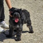 526558440 1150426160448530 326291206599319867 n