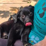 526744430 1148039964020483 7515713709099562457 n