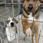 527128490 1147554887402324 589403212999688890 n