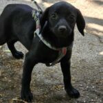 527592670 1148039924020487 107023184980216983 n