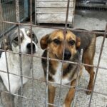 527633416 1147554977402315 2303691801950839467 n