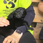 527784656 1148040007353812 3647076625919892021 n