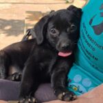 527894240 1148039914020488 4380435944303678959 n