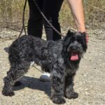 527979922 1150426147115198 5761870804211349760 n