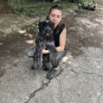 528203179 1150426230448523 6883434070944012118 n