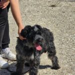 528212505 1150426377115175 5258870522127709882 n