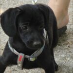 528303209 1148037914020688 6473280523461089698 n